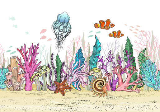 Seamless pattern with Hand drawn sea anemones coral reef, oceanic animal.