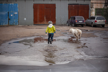 A child runsA child runs through the puddles with a dog. 