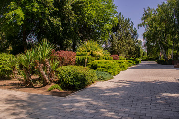 Obraz premium path in the park