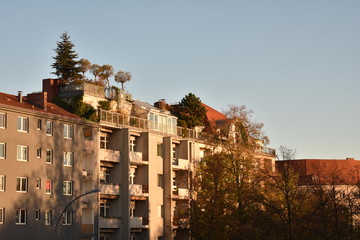 Fototapeta na wymiar Fall apartment scene with trees in Charlottenburg Berlin Germany