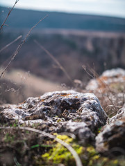 moss covered rocks