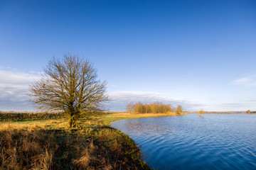 Wiosenne rozlewiska Narwi i Biebrzy. Podlasie. Polska