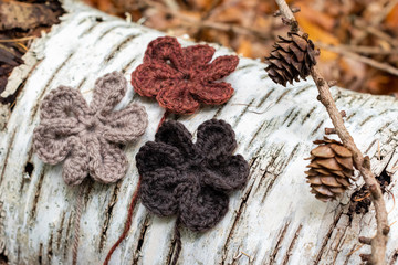 autumn colours crochet flowers on log in forest 