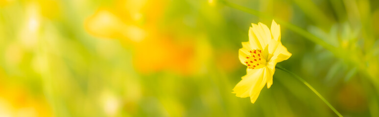 Obraz premium Amazing nature view of yellow leaf on blurred greenery background in garden and sunlight with copy space using as background natural green plants landscape, ecology, fresh wallpaper concept.