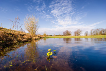 Wiosenne rozlewiska Narwi i Biebrzy. Podlasie. Polska