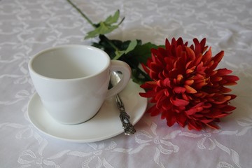 es sich zu Hause gemütlich machen