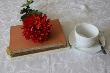 es sich zu Hause gem&uuml;tlich machen