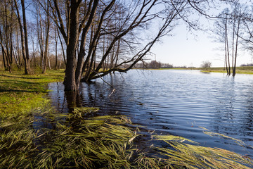Wiosenne rozlewiska Narwi i Biebrzy. Podlasie. Polska © podlaski49