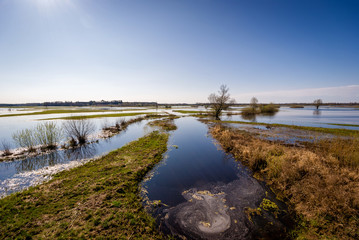 Wiosenne rozlewiska Narwi i Biebrzy. Podlasie. Polska