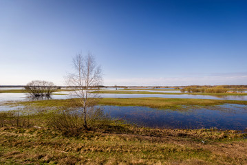 Wiosenne rozlewiska Narwi i Biebrzy. Podlasie. Polska