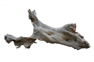 various tree trunks and leaves