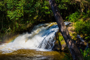 Waterfall in the forest