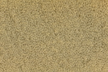 Grunge sponge texture with light yellow pores. Abstract background of natural surface with random holes close-up.