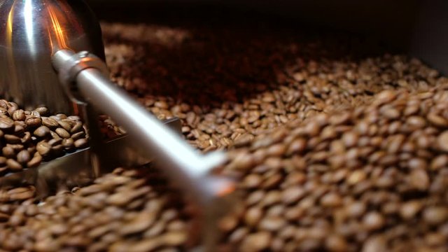 Closeup Selective focus coffee roaster with coffee beans.