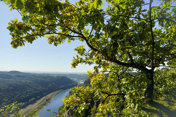 Urlaub in Deutschland: Blick von der Bastei in die Ferne nach Westen auf die Elbe, umrahmt von Bäumen