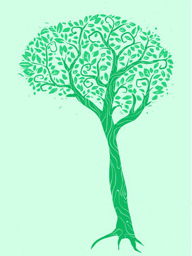 Yew clip art preview