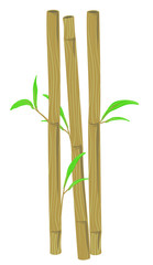 Fototapeta na wymiar Bamboo Straws Illustration