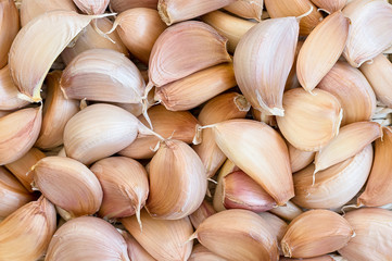 many unpeeled garlic cloves - food background