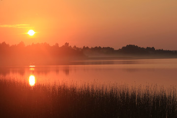 Obraz premium sunset on a forest lake, golden hour, natural background, landscape