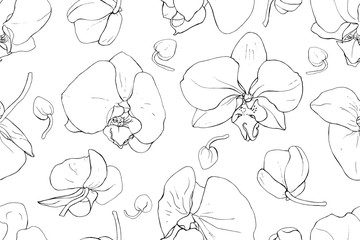 Floral seamless pattern with black contour flowers orchid on white background. Hand drawn. Outline tropical plants for design, textile, print, wallpapers, wrapping paper. Vector stock illustration. © Irina