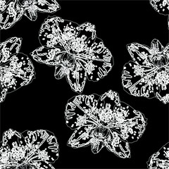 Seamless pattern with  orchids. Black and white background texture.