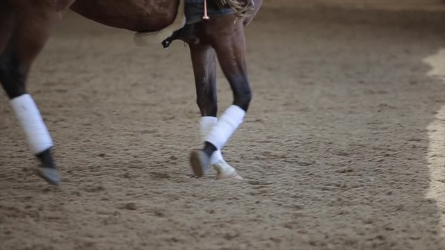 Slow motion of the legs of a brown horse running along the sand of an indoor riding arena on a horse ranch. Close-up