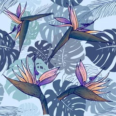 Fototapete Paradies tropische Blume Strelitzia und Monstera-Blätter auf grauem Hintergrund. Nahtloses Muster. Vektorillustration. Perfekt zum Bedrucken von Stoffen, Papier für Scrapbooking, Geschenkpapier und Tapeten.