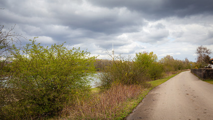 Transmission tower and Rhine river view from Floodplain nature park Meinerswijk on southbank of river Rhine in Gelderland, Netherlands