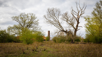 Fototapeta na wymiar Abandoned bricjk factory Floodplain nature park Meinerswijk near centre of Arnhem on southbank of river Rhine in Gelderland, Netherlands