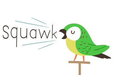 Parrot Onomatopoeia Sound Squawk Illustration