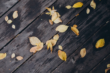 autumn yellow leaves lie on a vintage wooden floor