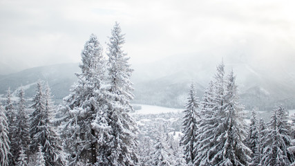 winter mountain landscape Zakopane