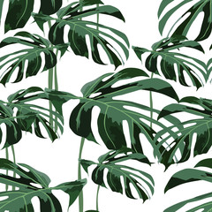 Seamless tropical pattern with monstera leaves.  Abstract background texture.
