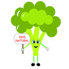 healthy broccoli vegetable illustration vegan food