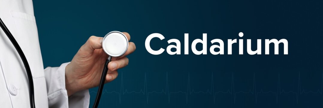Caldarium. Arzt im Kittel hält Stethoskop. Das Wort Caldarium steht daneben. Symbol für Medizin, Krankheit, Gesundheit