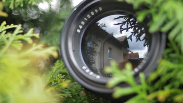 Person Hidden in Bush Taking Pictures with Telephoto Lens and Spying Others