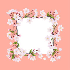 Blooming cherry. Decoration frame of flowers.