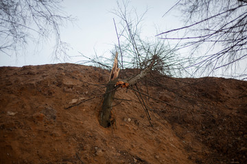 Dug land for construction.