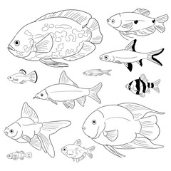 vector image aquarium fish set