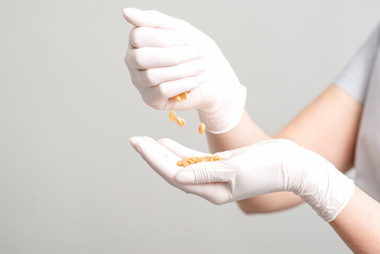Hard wax beans in hands.
