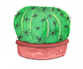 Drawing with watercolors: Large round cactus in a ceramic pot.