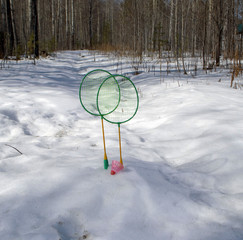
two badminton rackets stand in the winter forest