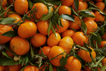 Bunch of fresh tangerines oranges on market
