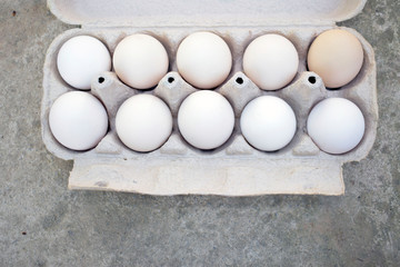 Ten white chicken eggs in a cardboard box.