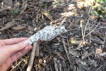 styrofoam litter in natural environment holded by hand