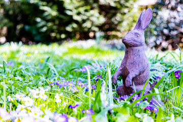 Osterhase im Garten, Frühling