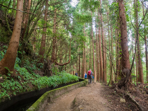 Hiking along the lavadas (irrigation channels) on Sao Miguel, Azores Islands