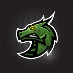 Creative dragon logo. Sport mascot design