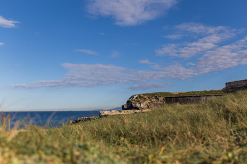 from a grassy hill we see the coastal landscape, blue sea and clear sky