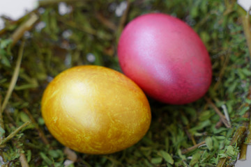 Fototapeta na wymiar colored painted easter eggs on a white background.